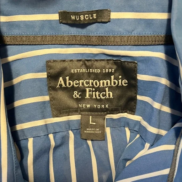 Abercrombie & Fitch Men's Blue and White Striped Shirt - Picture 3 of 3